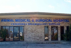 Animal Medical, vets in Corpus Christi, Corpus Christi veterinarians, animal hospital