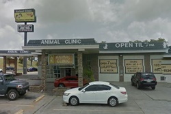 Baldwin and Crosstown Clinic, vets in Corpus Christi, Corpus Christi veterinarians, animal hospital