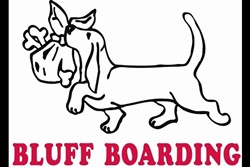 Bluff Boarding Kennels, cat boarding, pet boarding in Corpus Christi, Corpus Christi dog daycare, pet resort and pet grooming Corpus Christi Texas