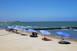Emerald Beach Hotel, dog friendly hotels in Corpus Christi Texas, pet friendl Corpus Christi hotels