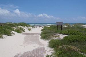 Padre Island National Seashore, Corpus Christi dog parks, dog activities, dog parks near Corpus Christi, dog beaches