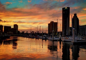 Tavern on the Bay at Harrison Landing, dog friendly restaurant in Corpus Christi, dogs allowed restaurant Corpus Christi, Texas